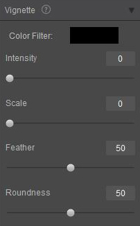 image Vignette tool of Fotor for Windows