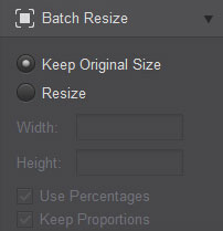 resize photo using Fotor batch resize
