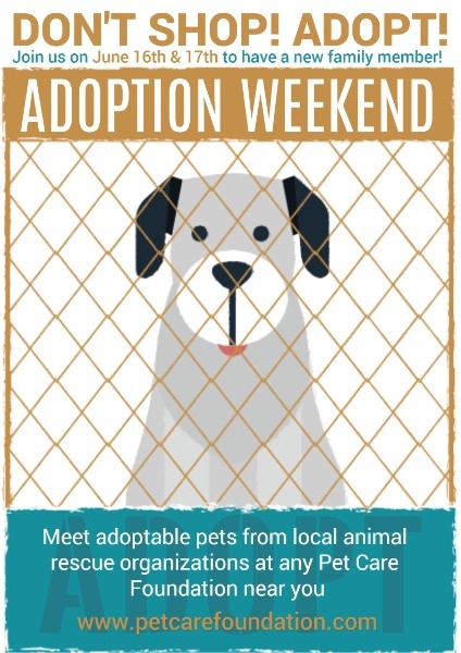 Pet Adoption Flyer Template from pub-static.haozhaopian.net