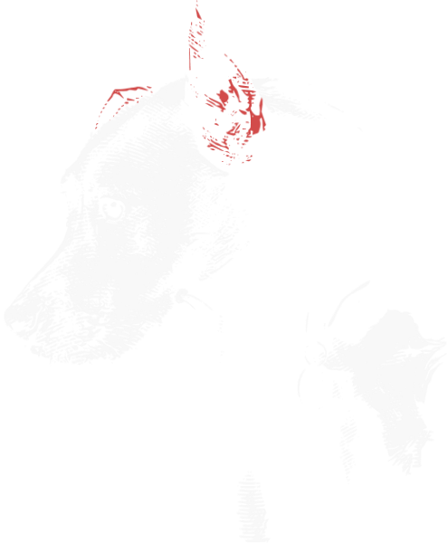 https://pub-static.haozhaopian.net/assets/res/sticker/00d0f9ba-1a98-4cff-9892-c1e321037329_thumb.png