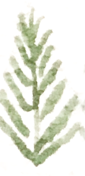 https://pub-static.haozhaopian.net/assets/res/sticker/0172cf65-f715-4c94-81d4-799914d23b2c_thumb.png