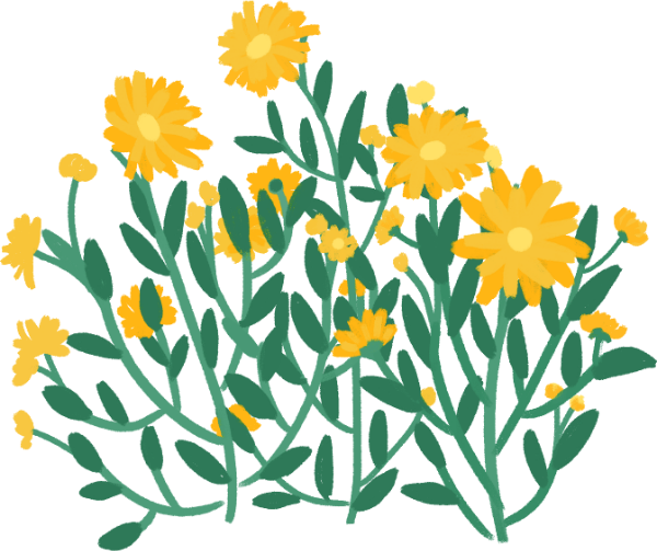https://pub-static.haozhaopian.net/assets/res/sticker/01ca4e44-ef68-4812-a91f-7c50a70d9182_thumb.png