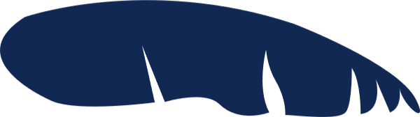 https://pub-static.haozhaopian.net/assets/res/sticker/067fe0b2-e77e-4334-b3d7-2beedf5dbdfe_thumb.png