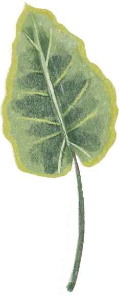 https://pub-static.haozhaopian.net/assets/res/sticker/0988ebae-2220-44d0-8128-9ae6c2f99ef1_thumb.png