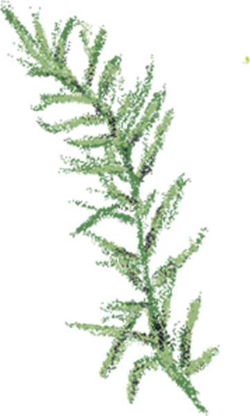 https://pub-static.haozhaopian.net/assets/res/sticker/09bbedc8-3645-4a3a-b458-5d804e115abb_thumb.png