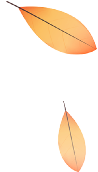 https://pub-static.haozhaopian.net/assets/res/sticker/0a806bfe-06c9-46ee-8d9a-5690560c6ad4_thumb.png