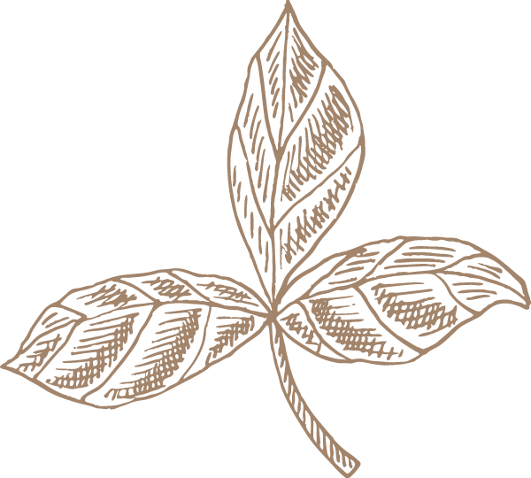 https://pub-static.haozhaopian.net/assets/res/sticker/0d853c8d-cb2e-4beb-85e9-fff0aeaa8a9a_thumb.png