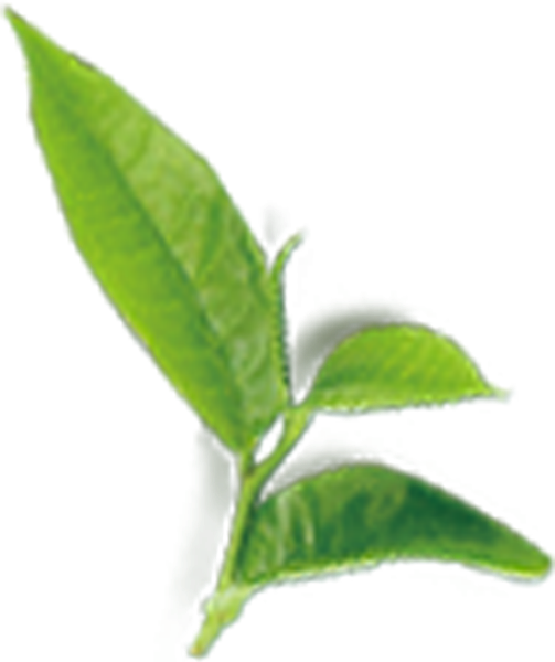 https://pub-static.haozhaopian.net/assets/res/sticker/0e48f107-baea-458e-95e5-16f3a6f9a74a_thumb.png