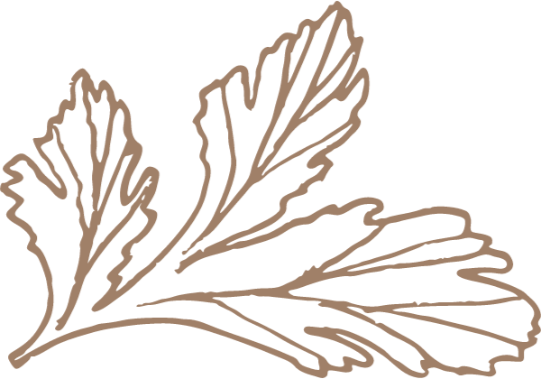 https://pub-static.haozhaopian.net/assets/res/sticker/0f13cb67-2083-4aa7-bcdc-7b4331721f0a_thumb.png