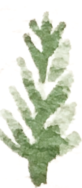 https://pub-static.haozhaopian.net/assets/res/sticker/111968fc-8753-412e-ad2c-d95176cde2a7_thumb.png