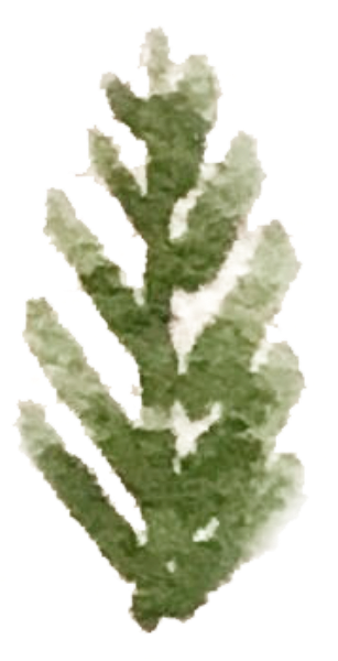 https://pub-static.haozhaopian.net/assets/res/sticker/115cd5db-b87b-4247-b24c-a175dcc9c2d5_thumb.png