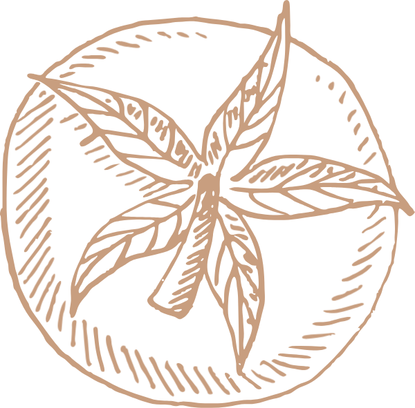 https://pub-static.haozhaopian.net/assets/res/sticker/11938a35-8455-4fb8-82a7-3b14c2f752eb_thumb.png