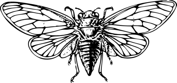 https://pub-static.haozhaopian.net/assets/res/sticker/121301ea-5de5-4eff-b51f-d2cefec6fde8_thumb.png