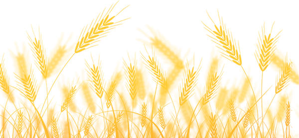 https://pub-static.haozhaopian.net/assets/res/sticker/129e2baa-2db0-45b3-bc64-ab4a3c41b55f_thumb.png
