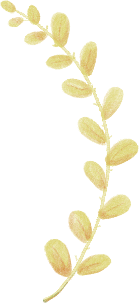https://pub-static.haozhaopian.net/assets/res/sticker/17078942-58da-4caf-87a6-8508d7c0fe7c_thumb.png
