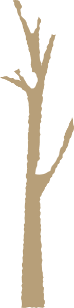 https://pub-static.haozhaopian.net/assets/res/sticker/180c2a2c-3d52-40e4-a01d-f5225edb55e6_thumb.png