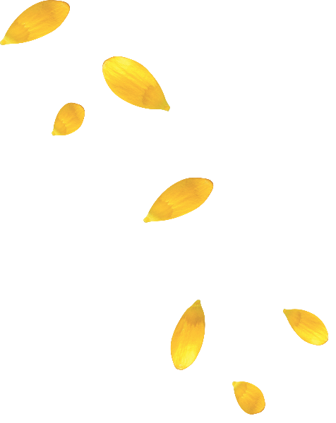 https://pub-static.haozhaopian.net/assets/res/sticker/21babe87-9268-4349-8929-5feab8d1ac40_thumb.png