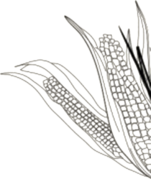 https://pub-static.haozhaopian.net/assets/res/sticker/23fafcca-dcea-4673-8f07-830c5b7ae126_thumb.png