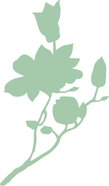 https://pub-static.haozhaopian.net/assets/res/sticker/27c97281-90f2-467c-9b31-3851965622a9_thumb.png
