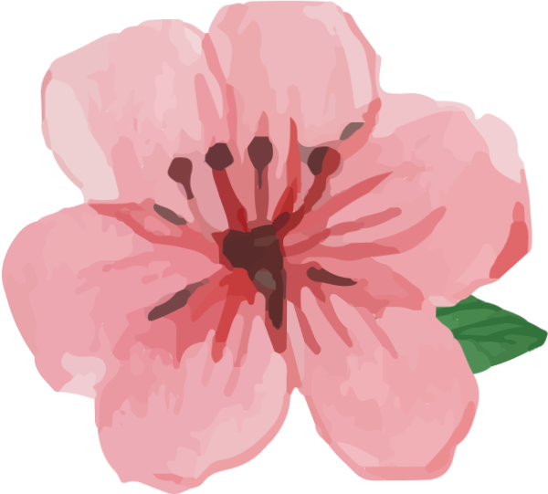 https://pub-static.haozhaopian.net/assets/res/sticker/2942d267-2e64-409e-a31e-413c77a6fe35_thumb.png