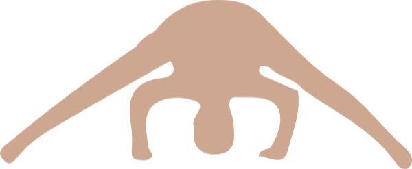 https://pub-static.haozhaopian.net/assets/res/sticker/2bf9a319-3f45-4b2f-a9cc-ee714c5f5d81_thumb.png