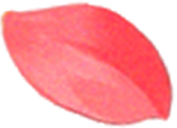 https://pub-static.haozhaopian.net/assets/res/sticker/2ea0b6fc-d626-41a1-8fd7-b97a8a4b84a3_thumb.png