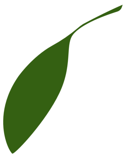 https://pub-static.haozhaopian.net/assets/res/sticker/2f903f71-bacb-4f53-880b-beacd0f5430d_thumb.png
