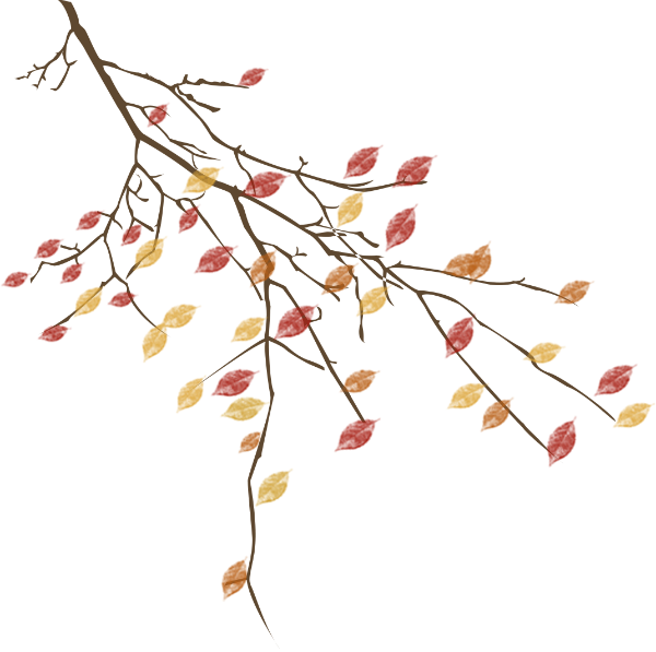 https://pub-static.haozhaopian.net/assets/res/sticker/300a6ebe-ad78-497f-9161-b43c5f528bab_thumb.png