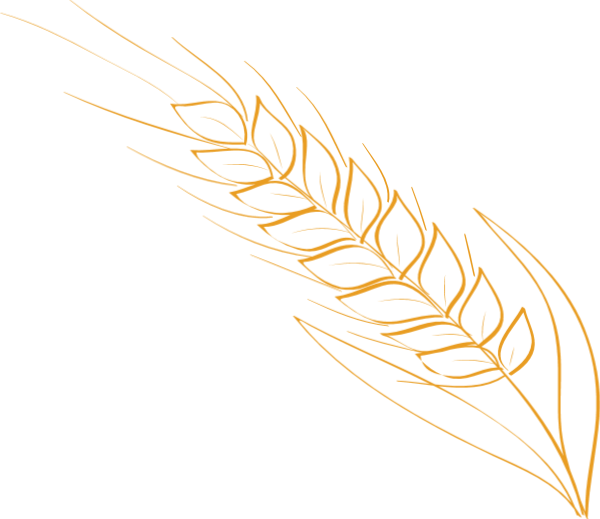 https://pub-static.haozhaopian.net/assets/res/sticker/346139d8-9171-461e-8946-e99b2e0ee489_thumb.png