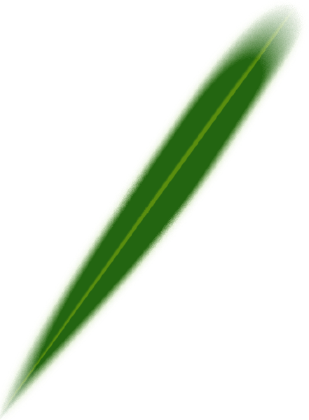 https://pub-static.haozhaopian.net/assets/res/sticker/35149859-3c02-49c4-a87d-f7bc02c3177a_thumb.png