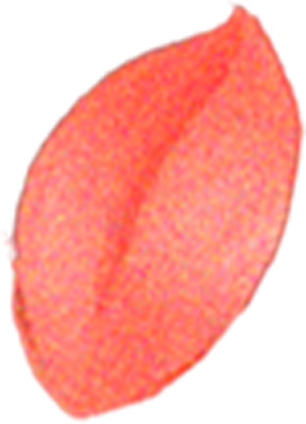 https://pub-static.haozhaopian.net/assets/res/sticker/3873dac7-3a30-493e-ab87-7f27b900e71f_thumb.png