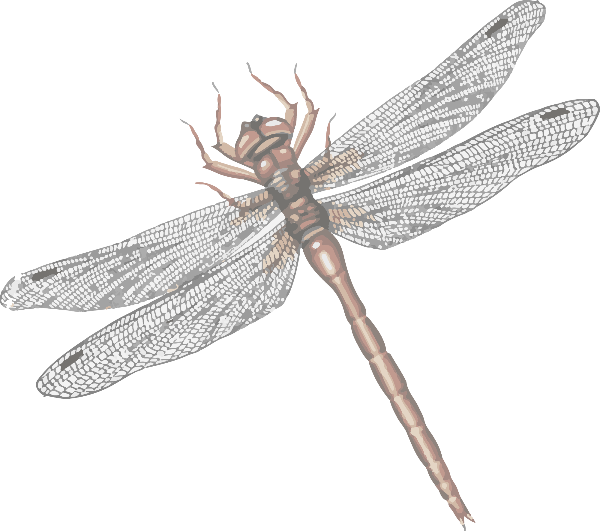 https://pub-static.haozhaopian.net/assets/res/sticker/3b06fdc1-7cce-4705-b906-b07c5112f1d0_thumb.png