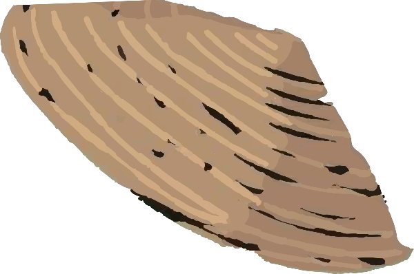 https://pub-static.haozhaopian.net/assets/res/sticker/3b14fb19-bd7a-47da-a003-1094715f446f_thumb.png