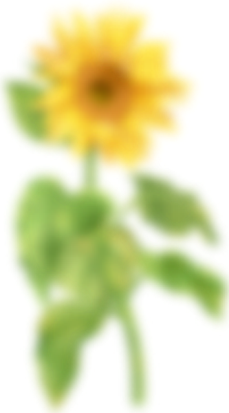 https://pub-static.haozhaopian.net/assets/res/sticker/404263f5-4b0b-4c97-9e2a-2585d8d68448_thumb.png