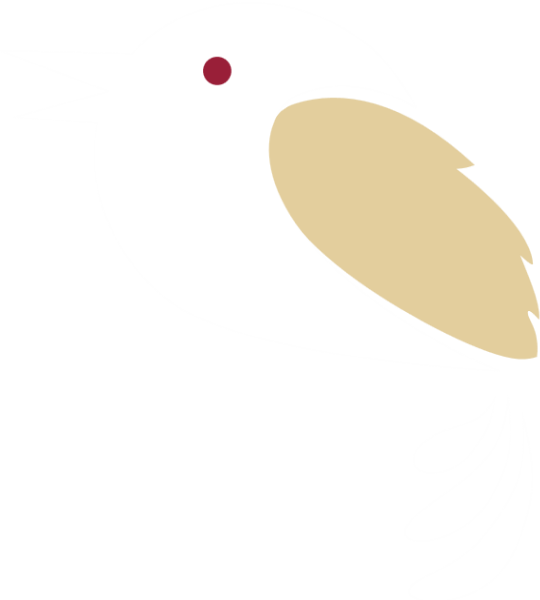 https://pub-static.haozhaopian.net/assets/res/sticker/41b411e5-975d-4361-a146-cc4c34f32c7c_thumb.png
