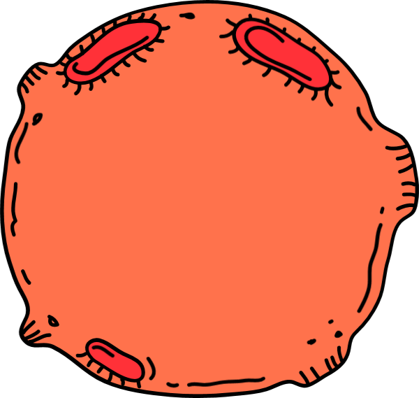 https://pub-static.haozhaopian.net/assets/res/sticker/41c574da-6c6b-4f1b-b8b9-55c48123131b_thumb.png