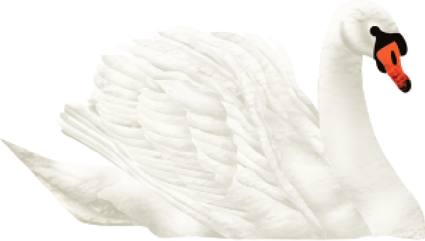 https://pub-static.haozhaopian.net/assets/res/sticker/42ea9a6b-d68e-464e-acac-1c2b419497e3_thumb.png