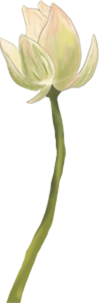 https://pub-static.haozhaopian.net/assets/res/sticker/432dc38f-4c12-4672-8227-e78c20d46f3f_thumb.png
