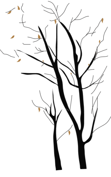 https://pub-static.haozhaopian.net/assets/res/sticker/478fb558-f33d-4bd6-8e42-e2bc665f86bd_thumb.png