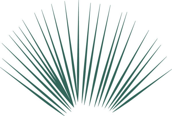 https://pub-static.haozhaopian.net/assets/res/sticker/47df9a95-c5d6-440b-bdcc-2b171c3f9e45_thumb.png