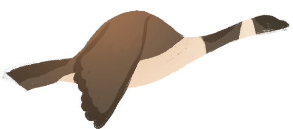 https://pub-static.haozhaopian.net/assets/res/sticker/48072a3d-4836-4978-8187-a8fbc1c9c624_thumb.png