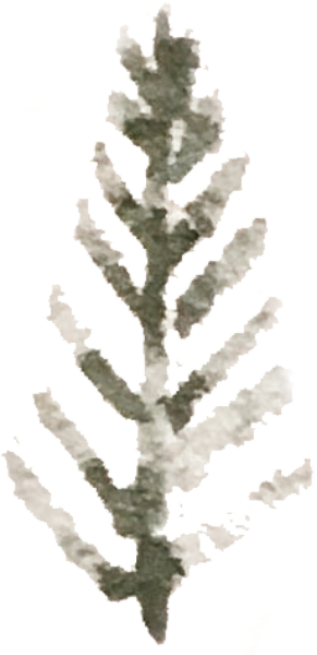 https://pub-static.haozhaopian.net/assets/res/sticker/4b5689ab-ecf8-4231-a026-242088d2e35a_thumb.png