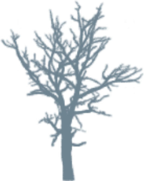 https://pub-static.haozhaopian.net/assets/res/sticker/4d1eda71-f17b-4833-b82e-654bbae38b5b_thumb.png