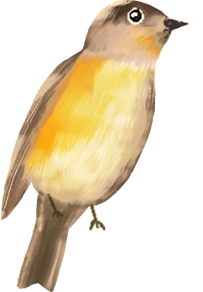 https://pub-static.haozhaopian.net/assets/res/sticker/4d62a771-33a2-4915-8062-c795fc249240_thumb.png
