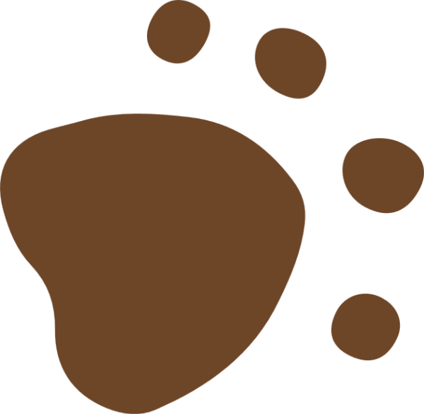 https://pub-static.haozhaopian.net/assets/res/sticker/4ea5f358-0f91-439f-8b52-fba345491d40_thumb.png