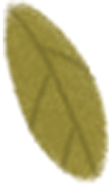 https://pub-static.haozhaopian.net/assets/res/sticker/5158d4f5-19e8-4c57-b45d-b111c78e4365_thumb.png