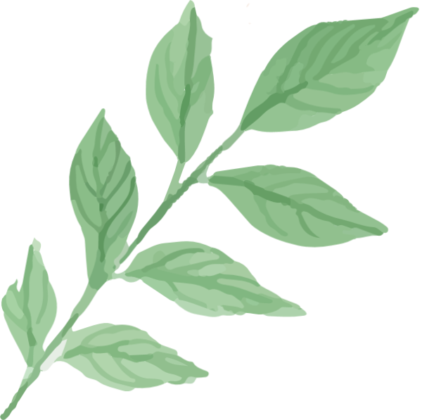 https://pub-static.haozhaopian.net/assets/res/sticker/5899a178-7e54-41b2-b061-b95ea382b865_thumb.png