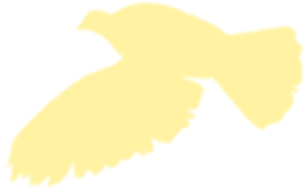 https://pub-static.haozhaopian.net/assets/res/sticker/598d2db6-9739-471f-a692-0e584c51aa91_thumb.png