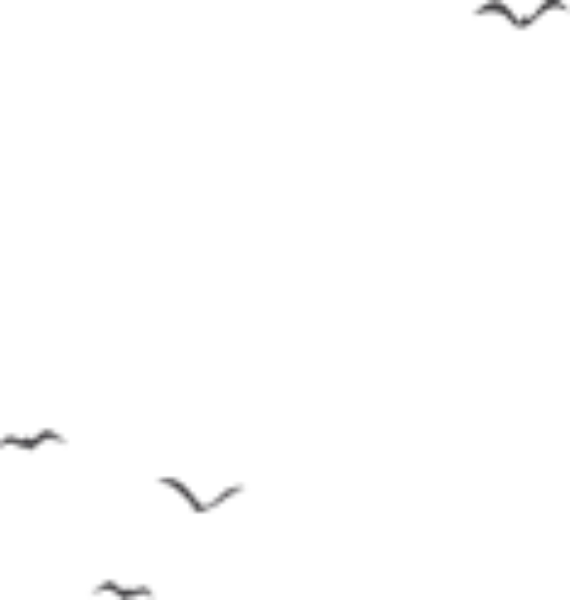 https://pub-static.haozhaopian.net/assets/res/sticker/5a70af7c-62d6-414c-afde-7639d0c14176_thumb.png