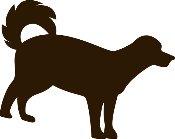 https://pub-static.haozhaopian.net/assets/res/sticker/5c78de80-efd2-4eb0-9a5a-27aa09dd13ca_thumb.png
